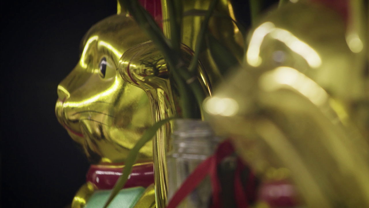 Pueden Llamarme David