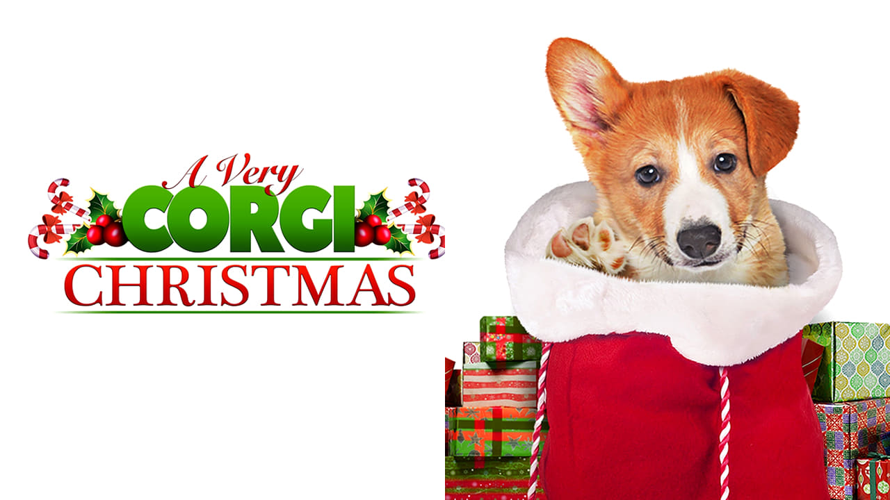 A Very Corgi Christmas background