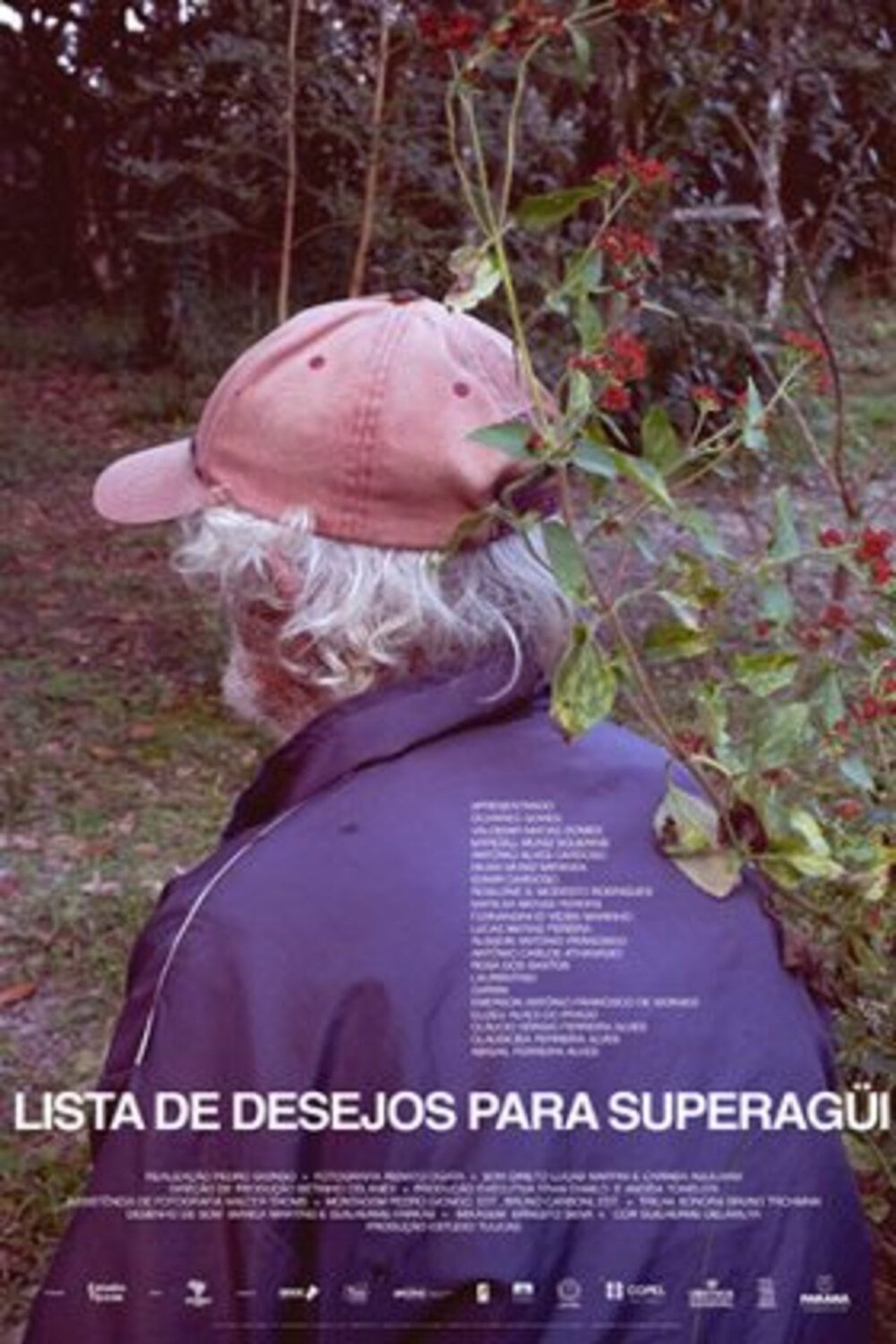 Lista de Desejos para Superagüi Lista de Desejos para Superagüi