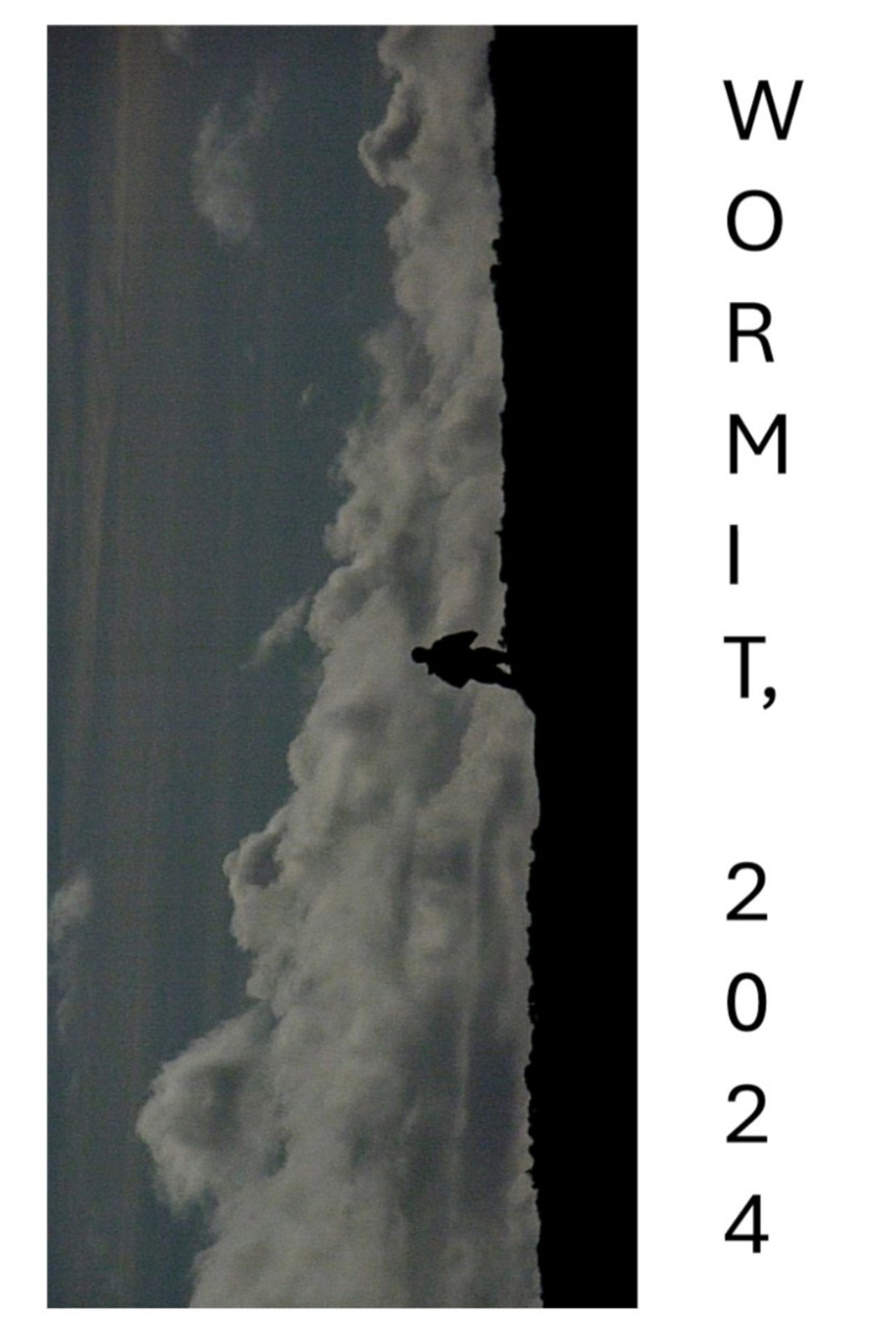 WORMIT, 2024 filmaffisch