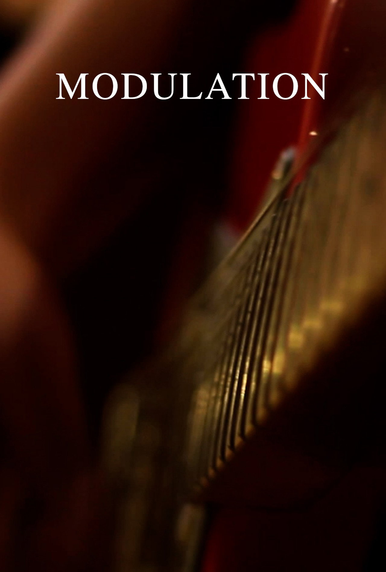 Modulation filmaffisch