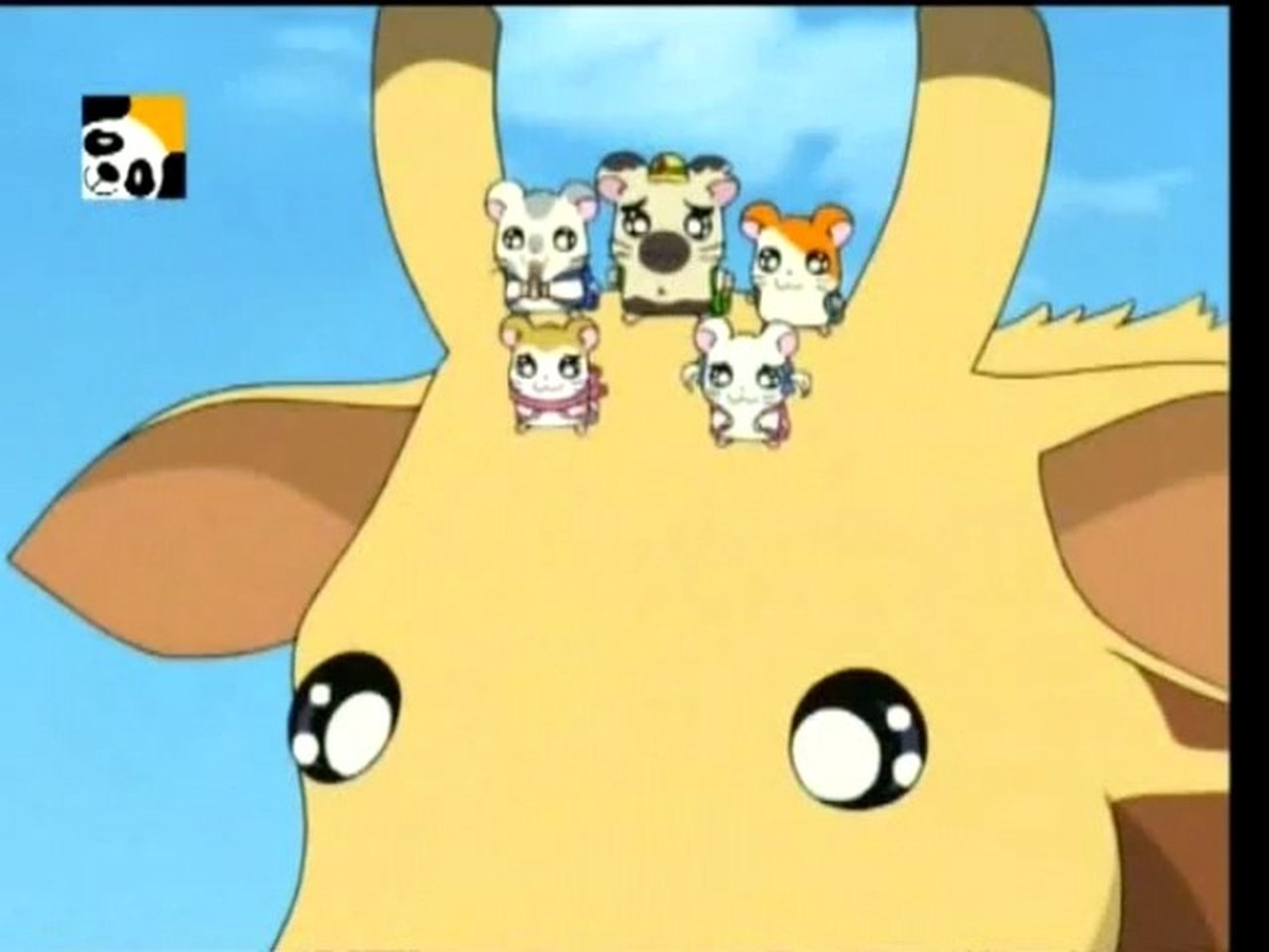 Hamtaro - Season 1 Episode 67 : The Zoo Date