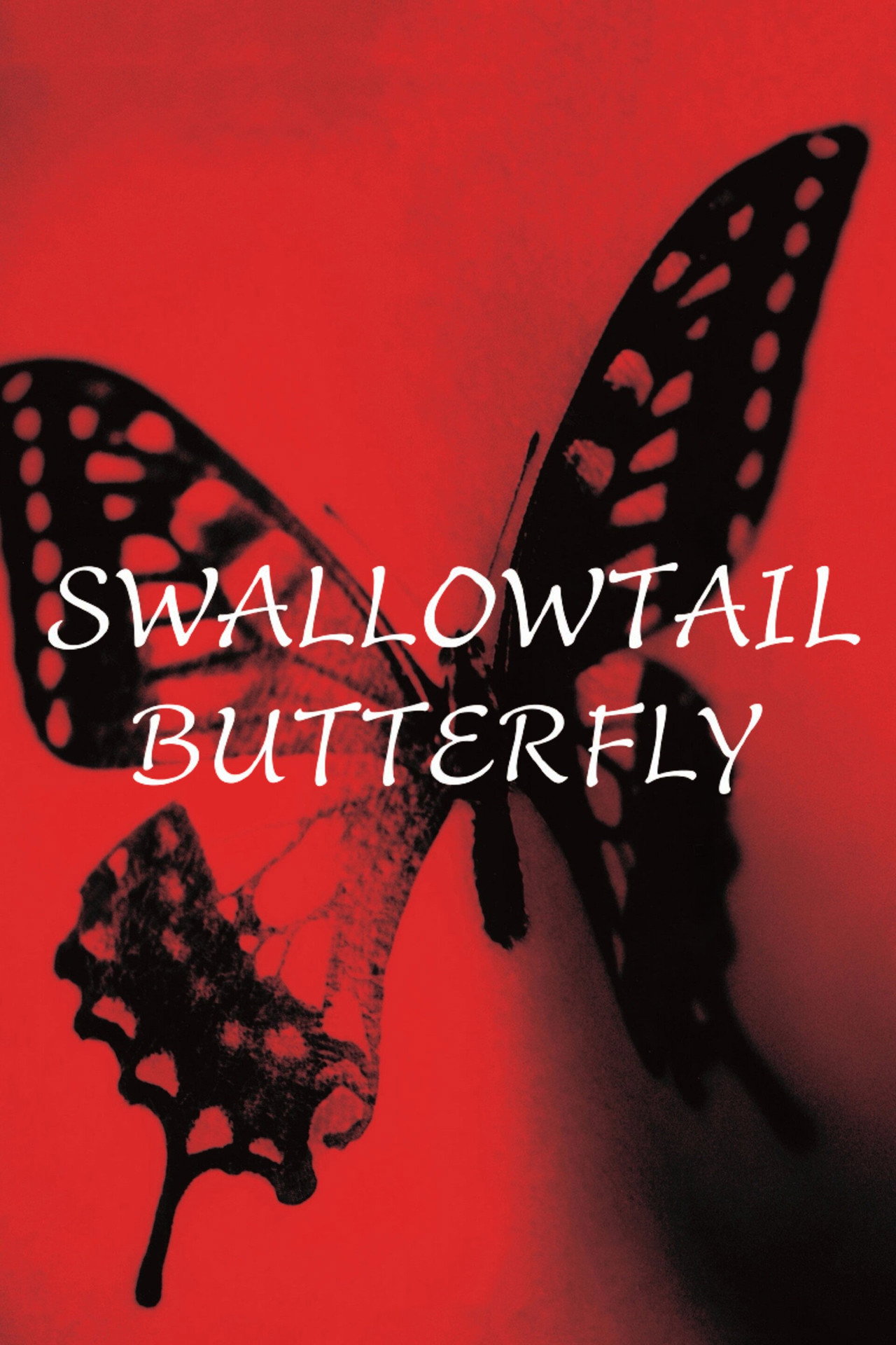 Swallowtail Butterfly