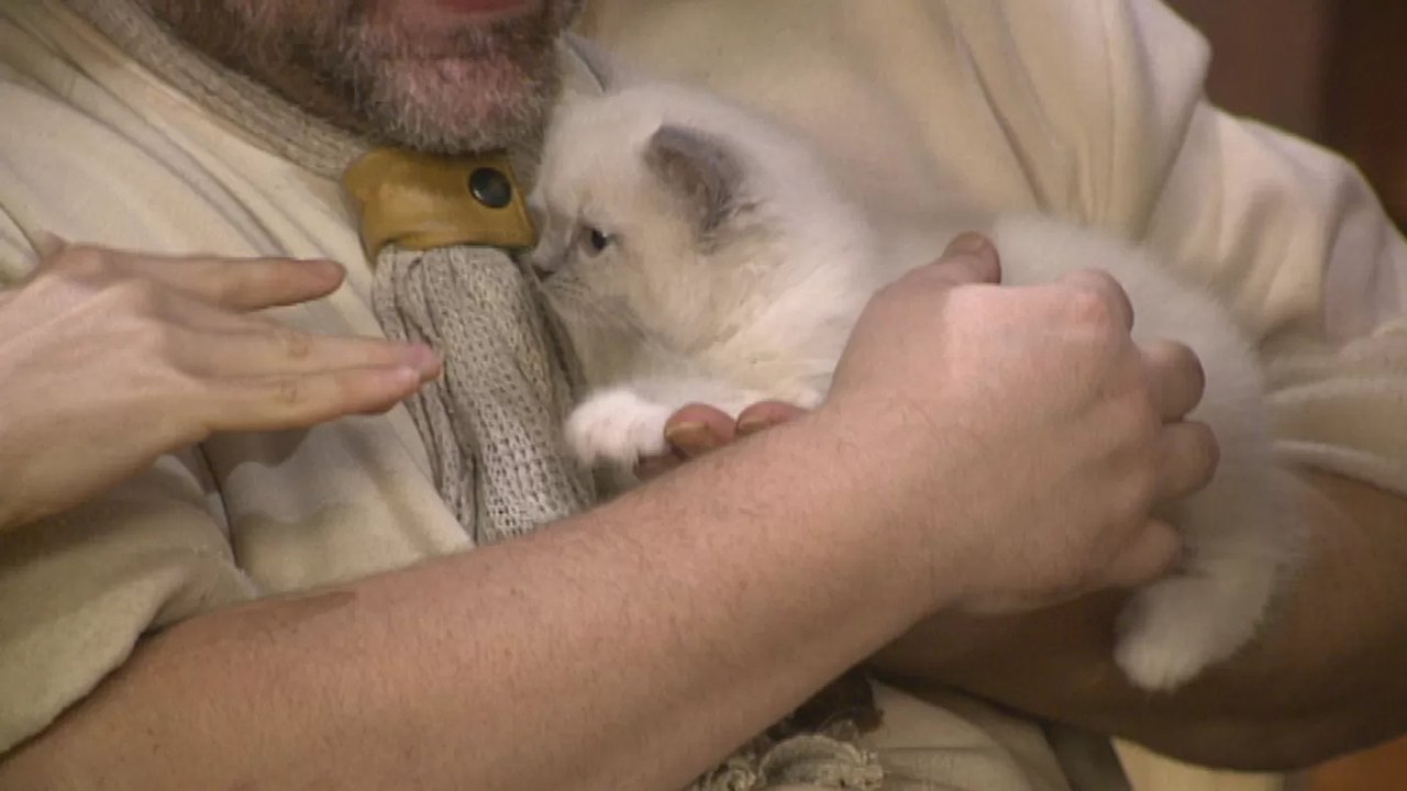 Piet Piraat - Season 2 Episode 5 : Episode 5