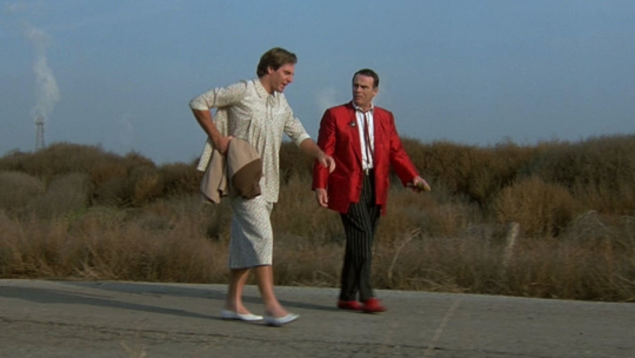 Quantum Leap - Season 3 Episode 12 : 8½ Months