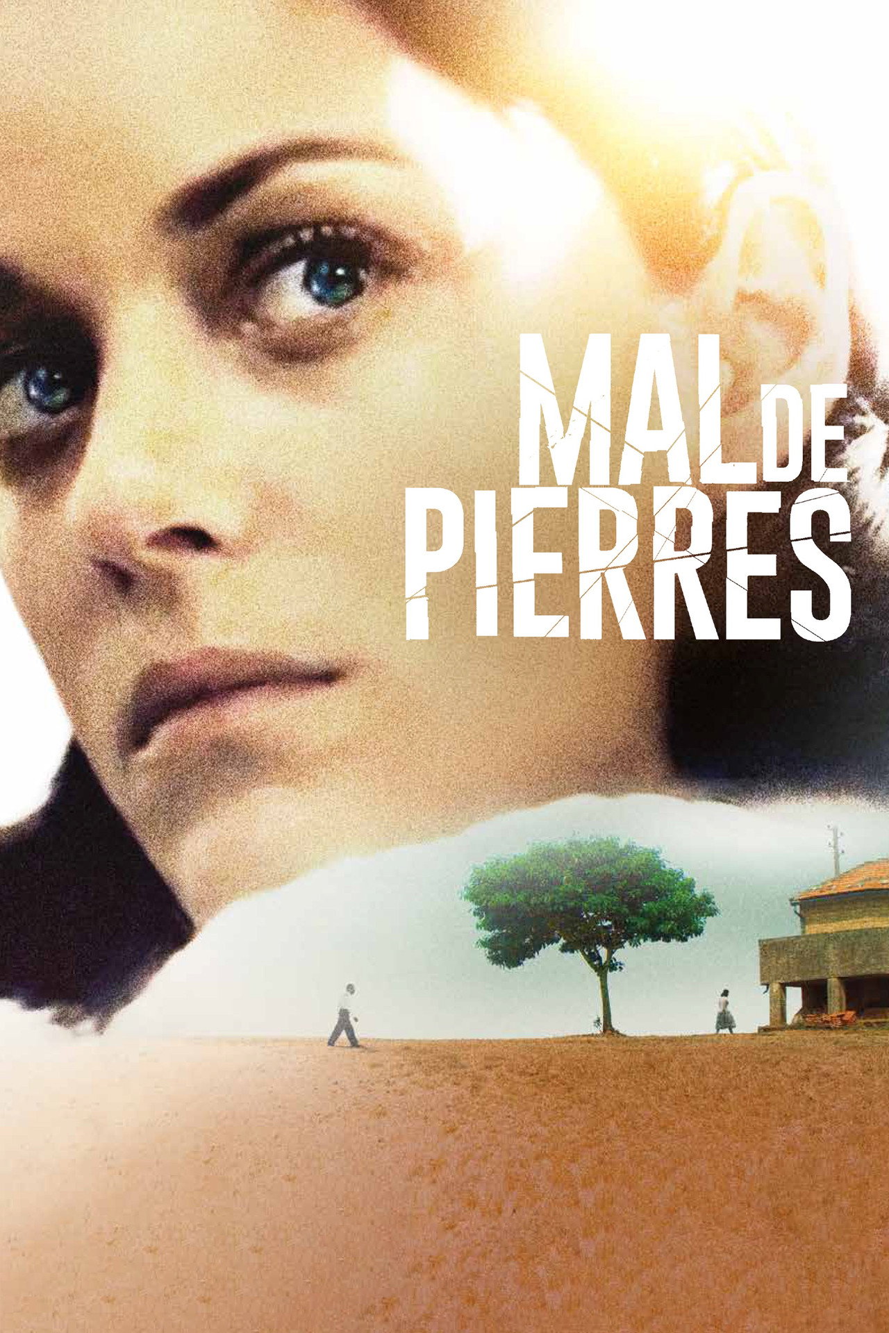 Mal de pierres poster