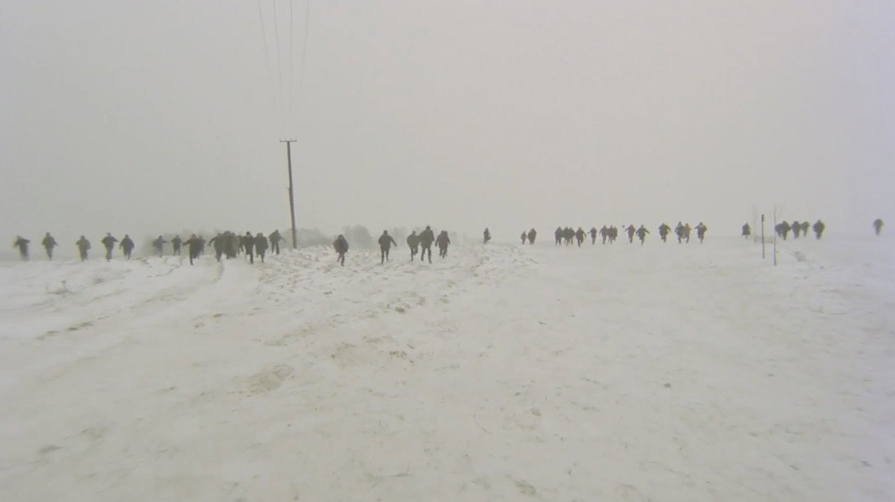 The Dancing Hawk backdrop