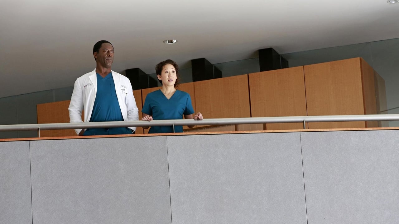 Grey's Anatomy - Season 10 Episode 22 : We Are Never Ever Getting Back Together