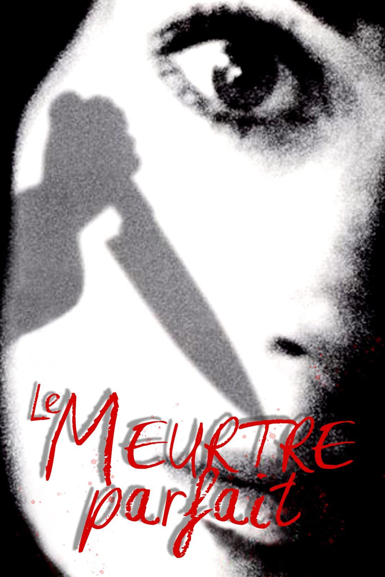 Le meurtre parfait poster