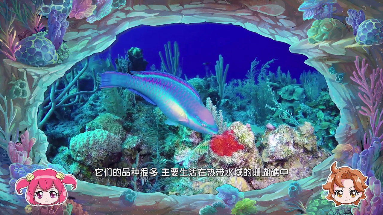 巴啦啦小魔仙魔法海洋馆 — Épisode 12