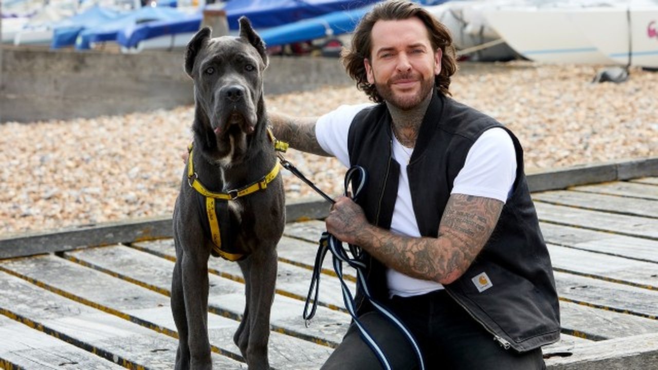 Pete Wicks: For Dogs’ Sake - Season 2 Episode 3 : Hugo And The Ice Cream Pups