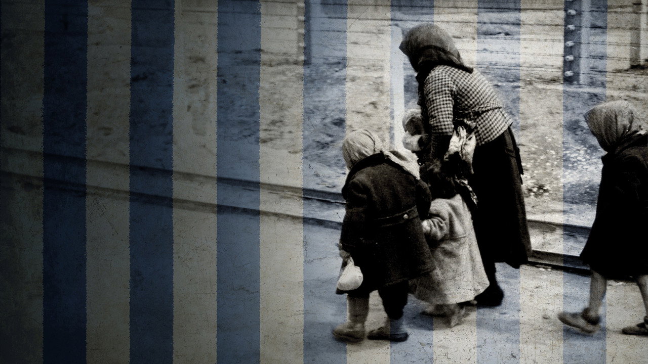 Auschwitz - One Day backdrop