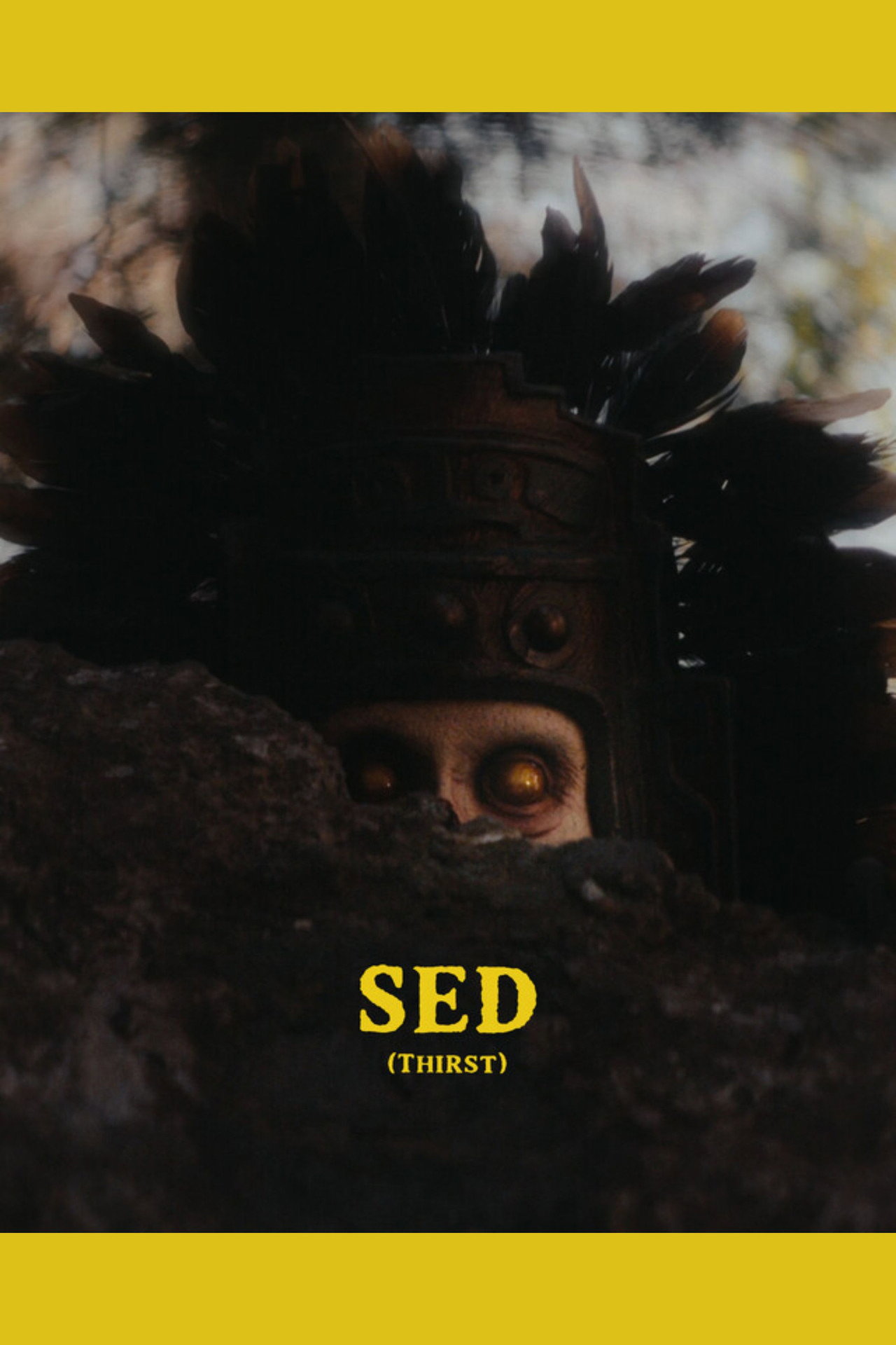 SED Backdrop