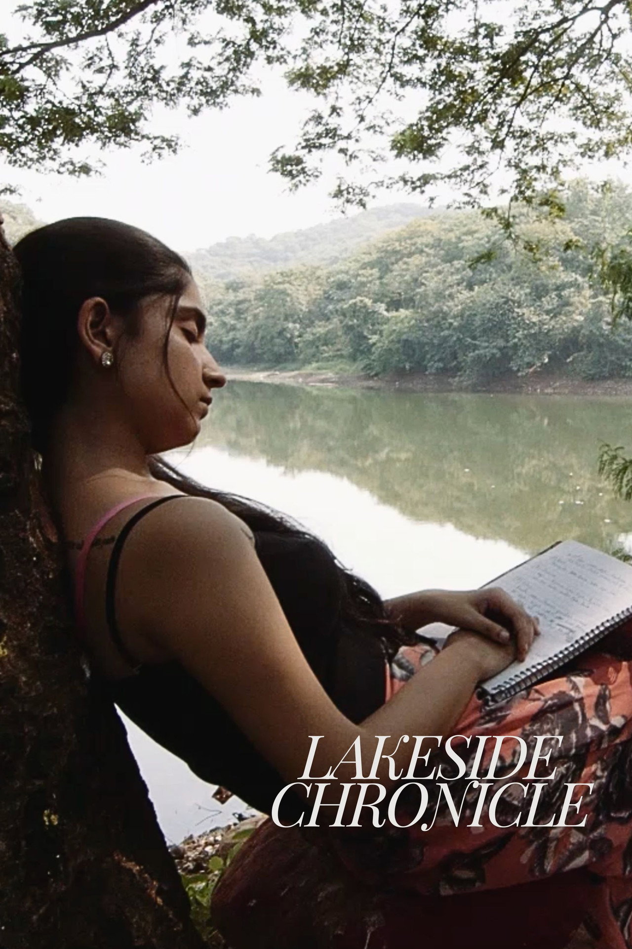 Lakeside Chronicle filmaffisch