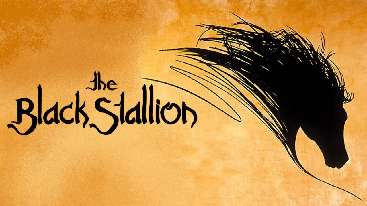 The Black Stallion