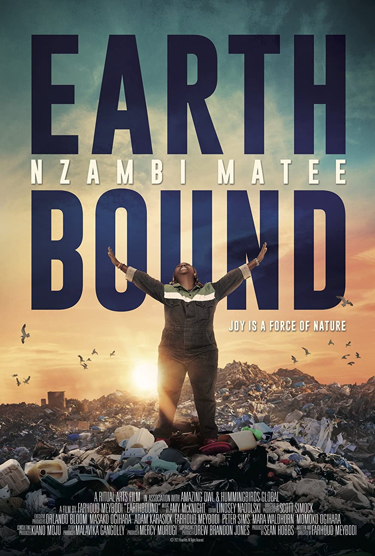 Earthbound: Nzambi Matee poster
