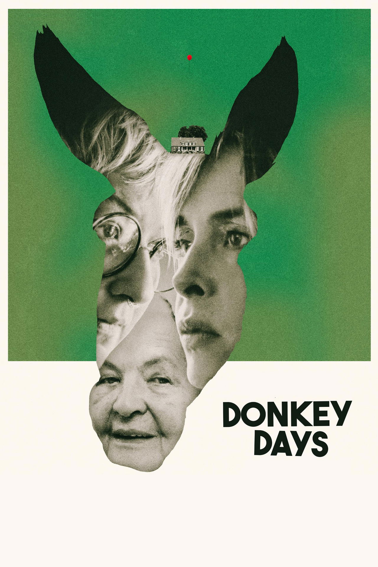 Donkey Days poster