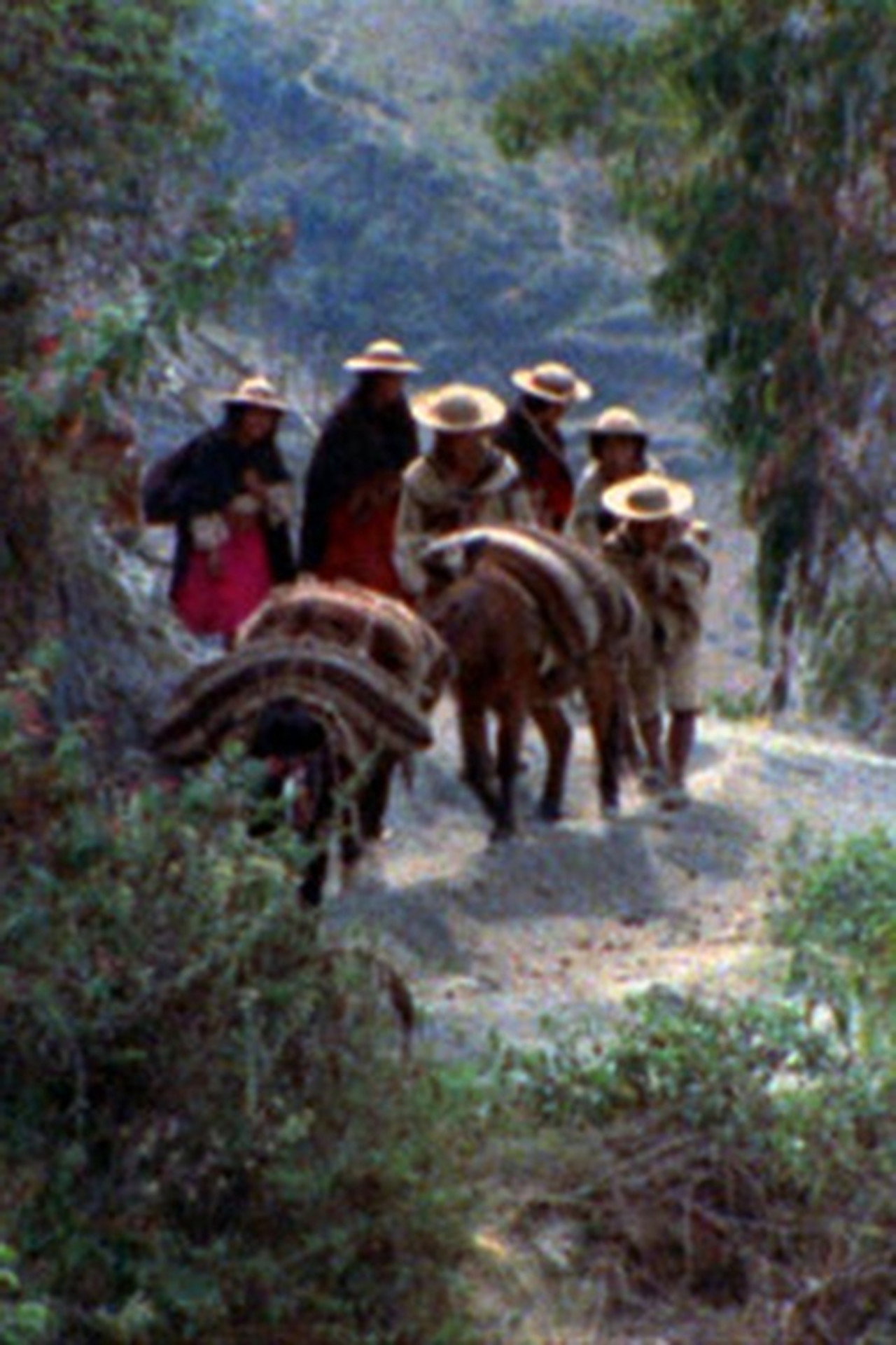 Viracocha filmaffisch