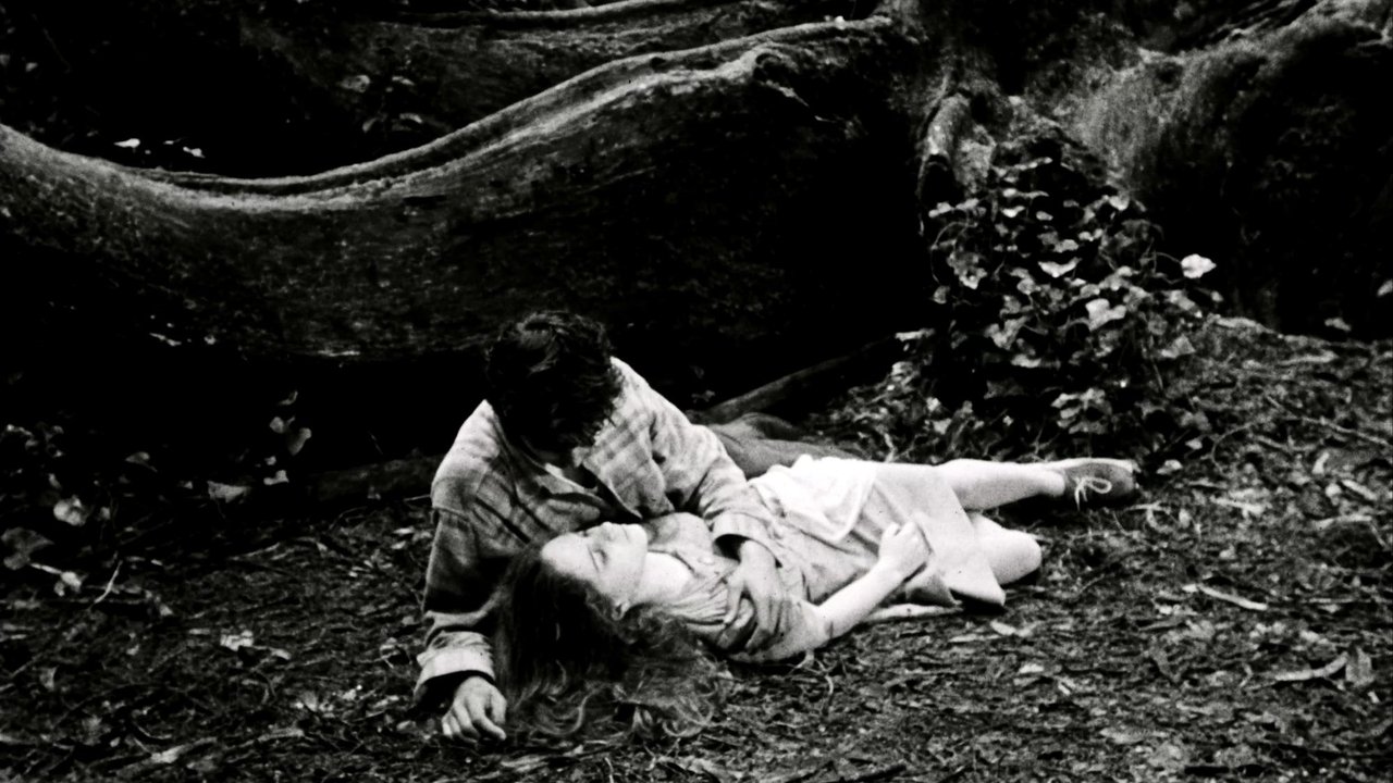 title image
