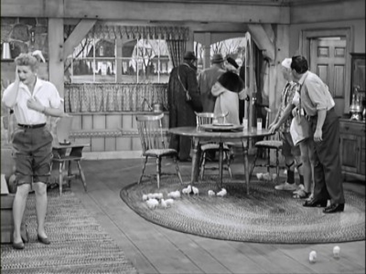 I Love Lucy - Season 6 Episode 19 : Lucy Raises Chickens
