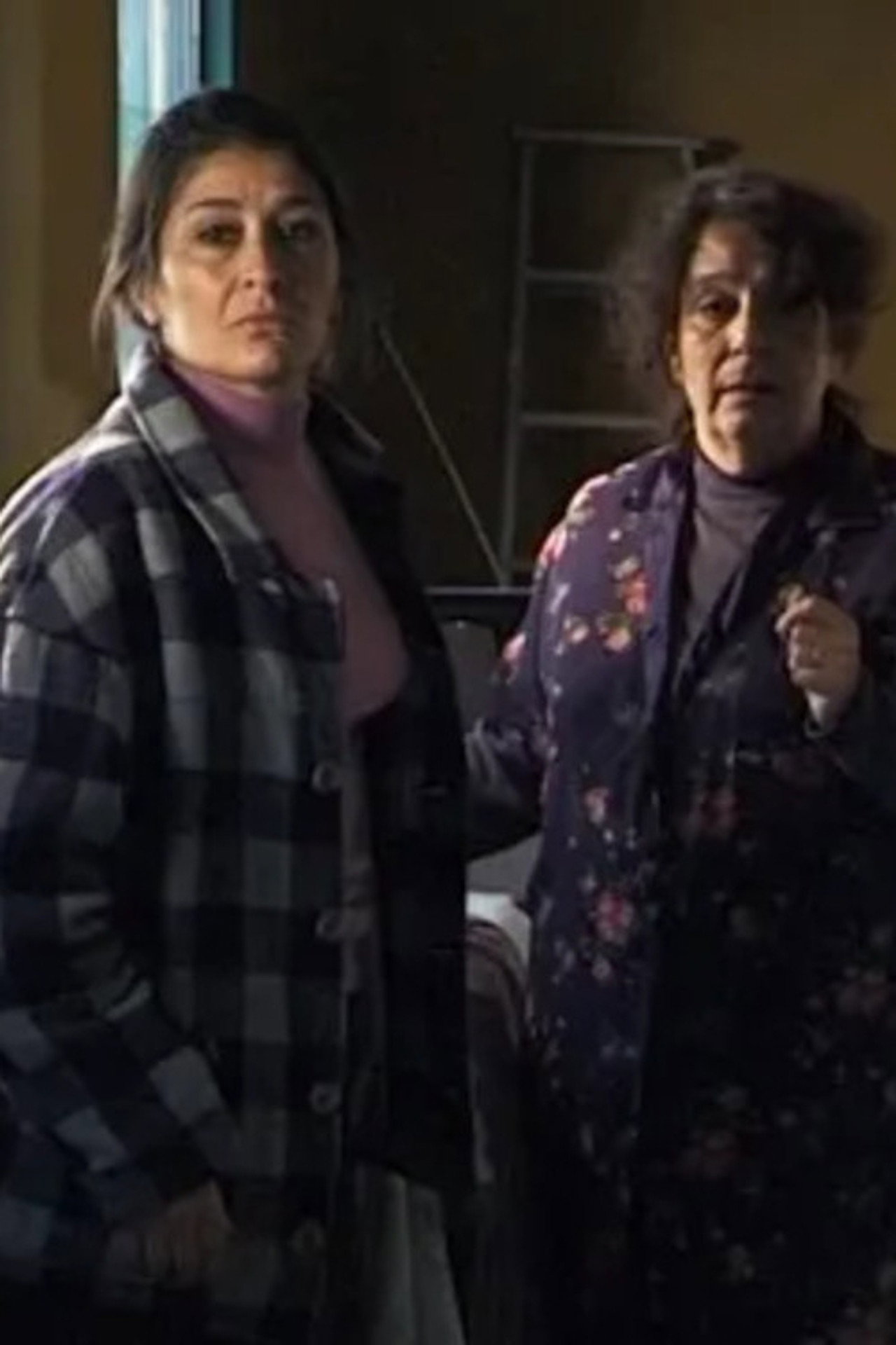 Prime of Life Backdrop