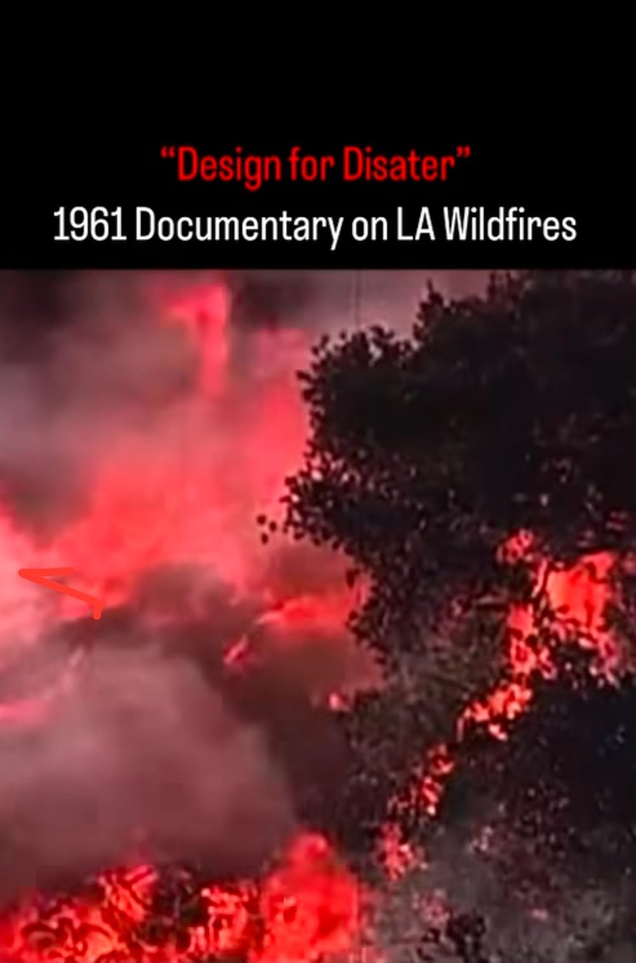 Design for Disaster 1962