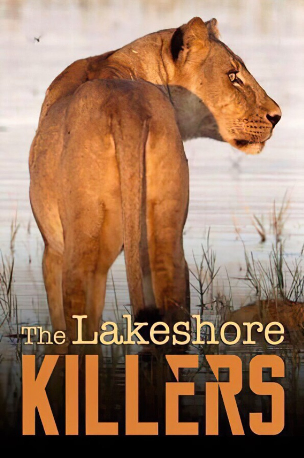 The Lakeshore Killers filmaffisch