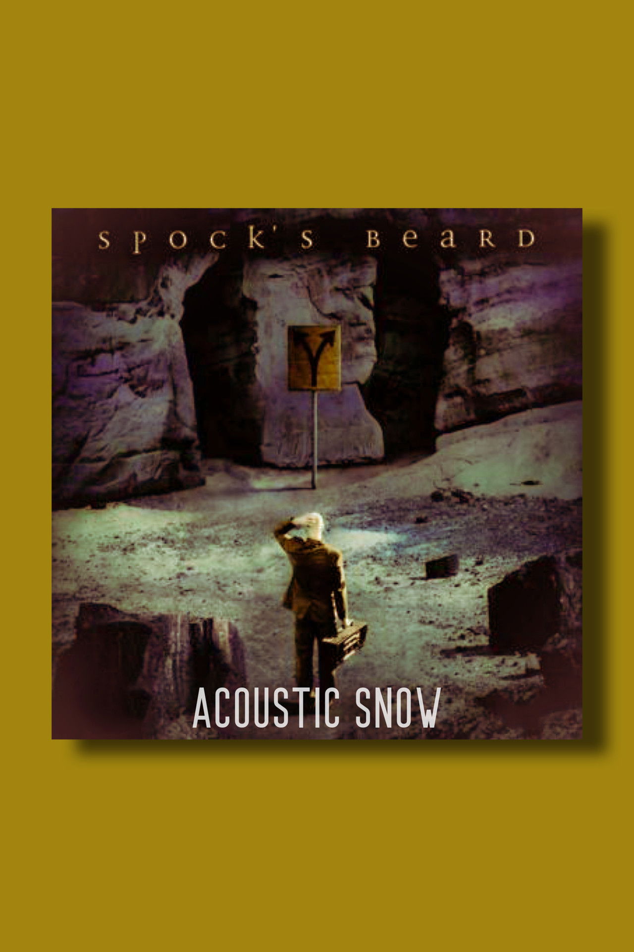 Spock's Beard: Acoustic SNOW Backdrop