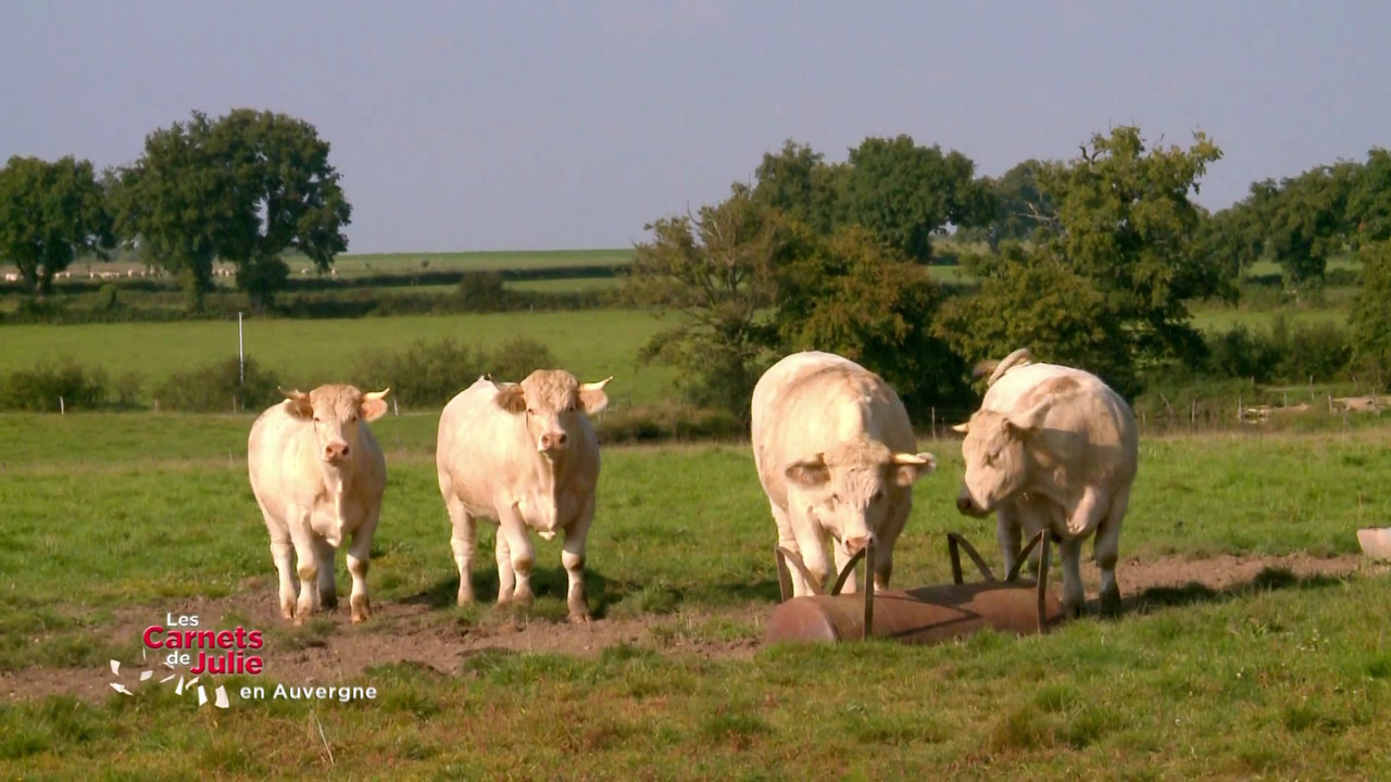 Les Carnets de Julie — Le Bourbonnais, en Auvergne