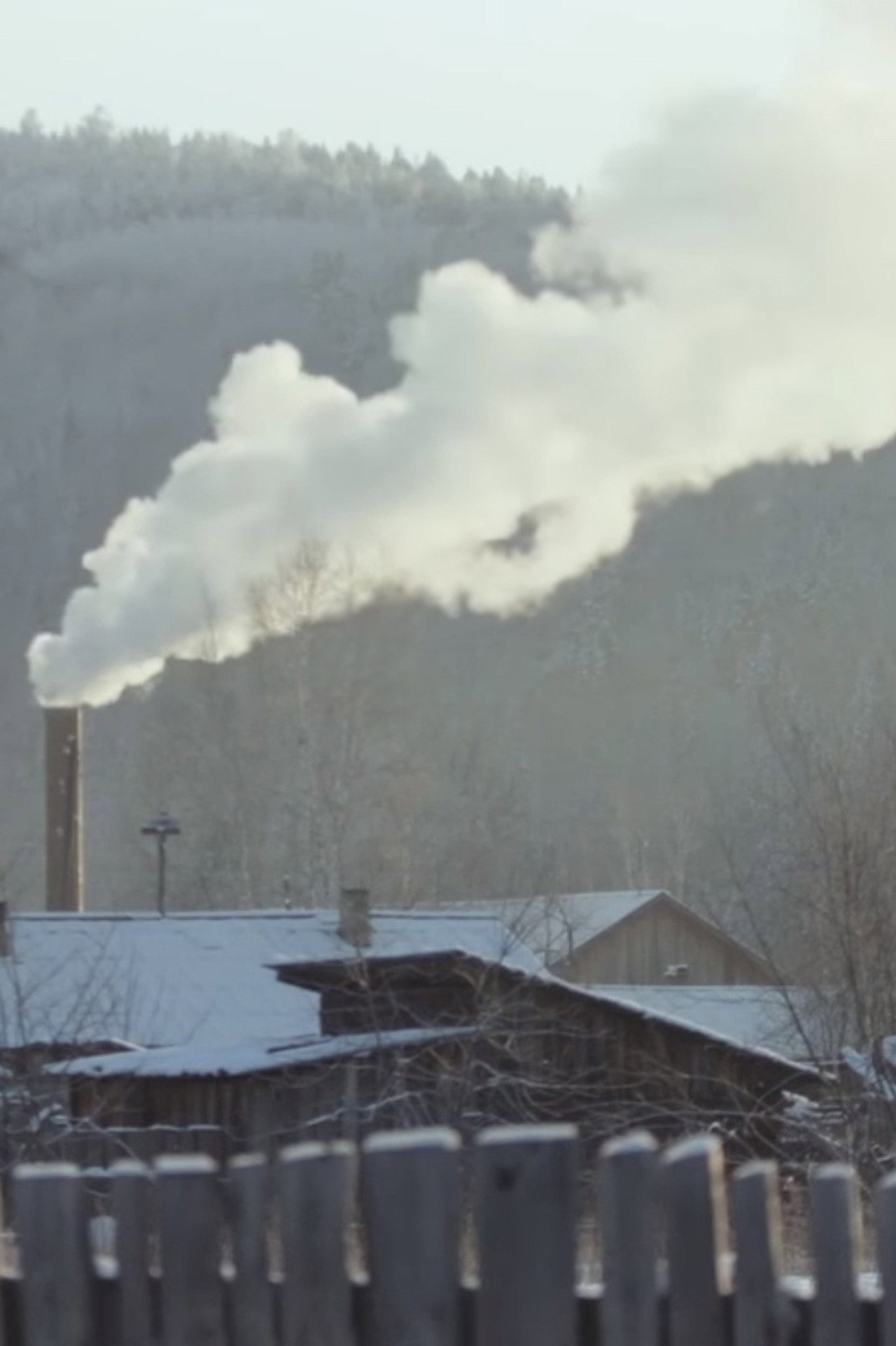 Дым отечества filmaffisch