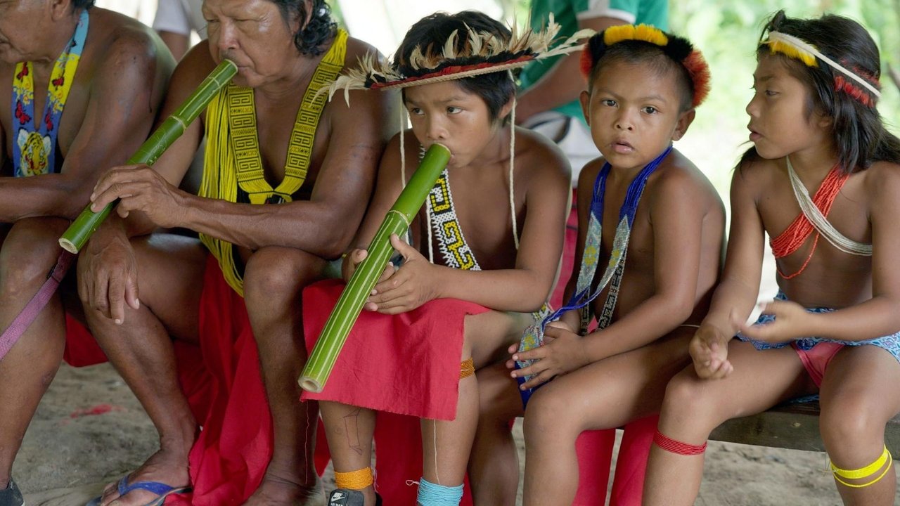 Amazonie, les murmures de la forêt