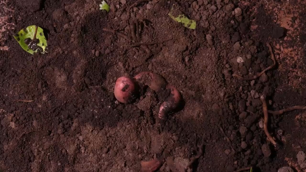 Eles Não nos Deixam ver o Sol