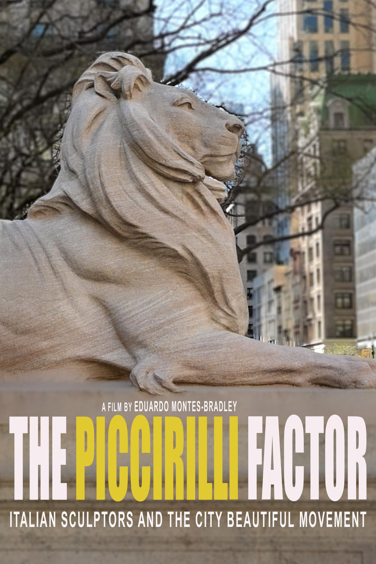 The Piccirilli Factor filmaffisch