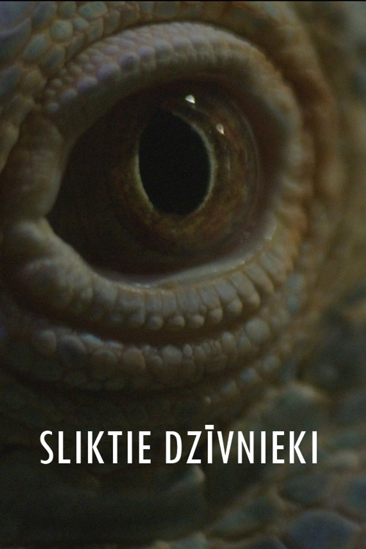 Sliktie dzīvnieki filmaffisch