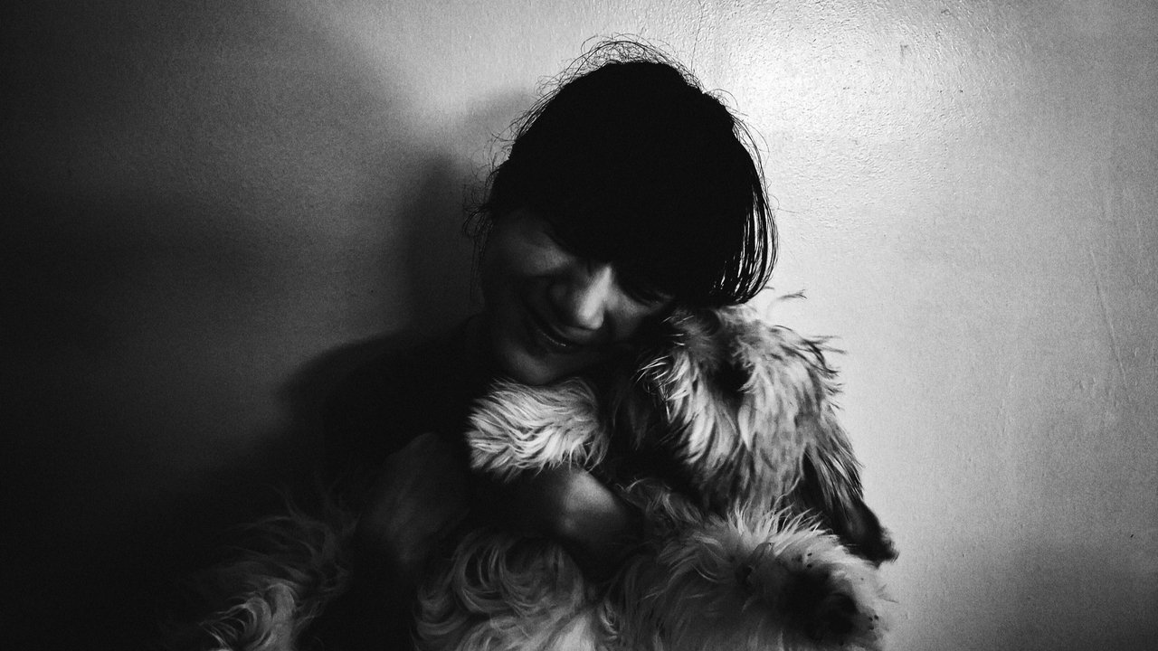 A Dog's Life