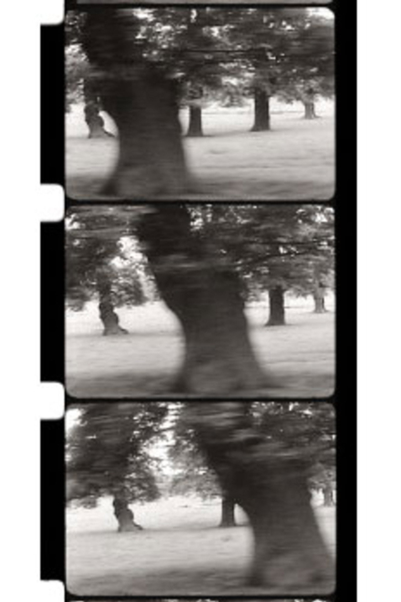 Motion Parallax filmaffisch