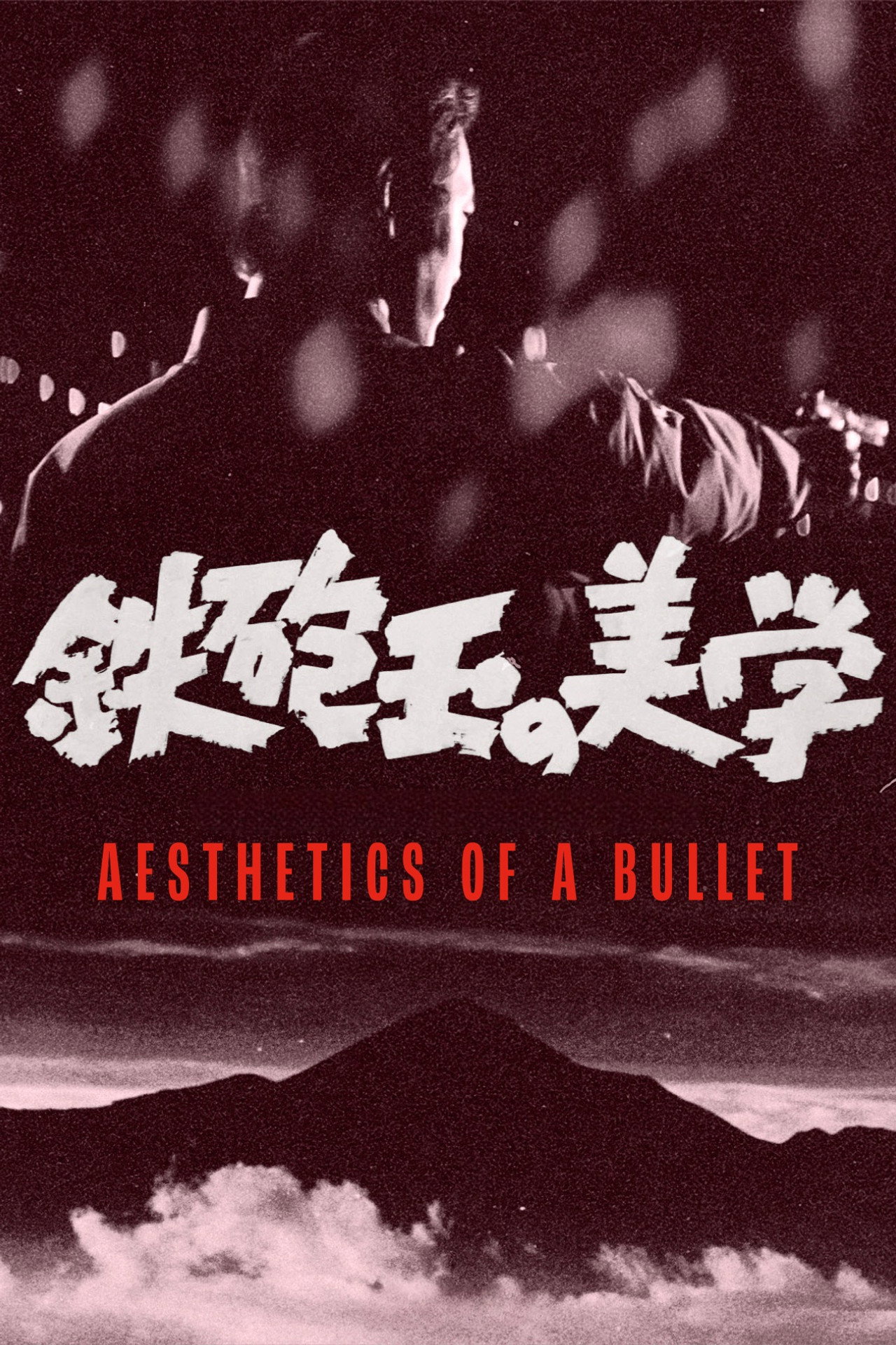 Aesthetics of a Bullet