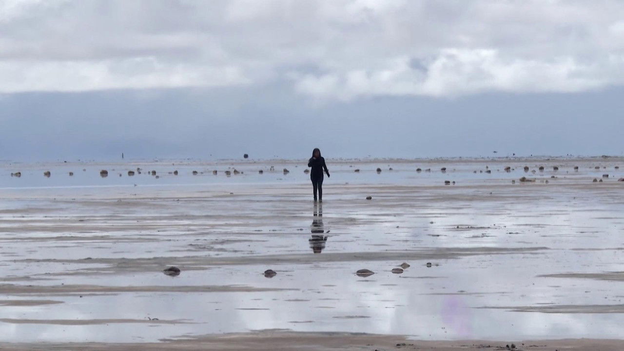 Fronteras Peligrosas de Latino America — Épisode 19