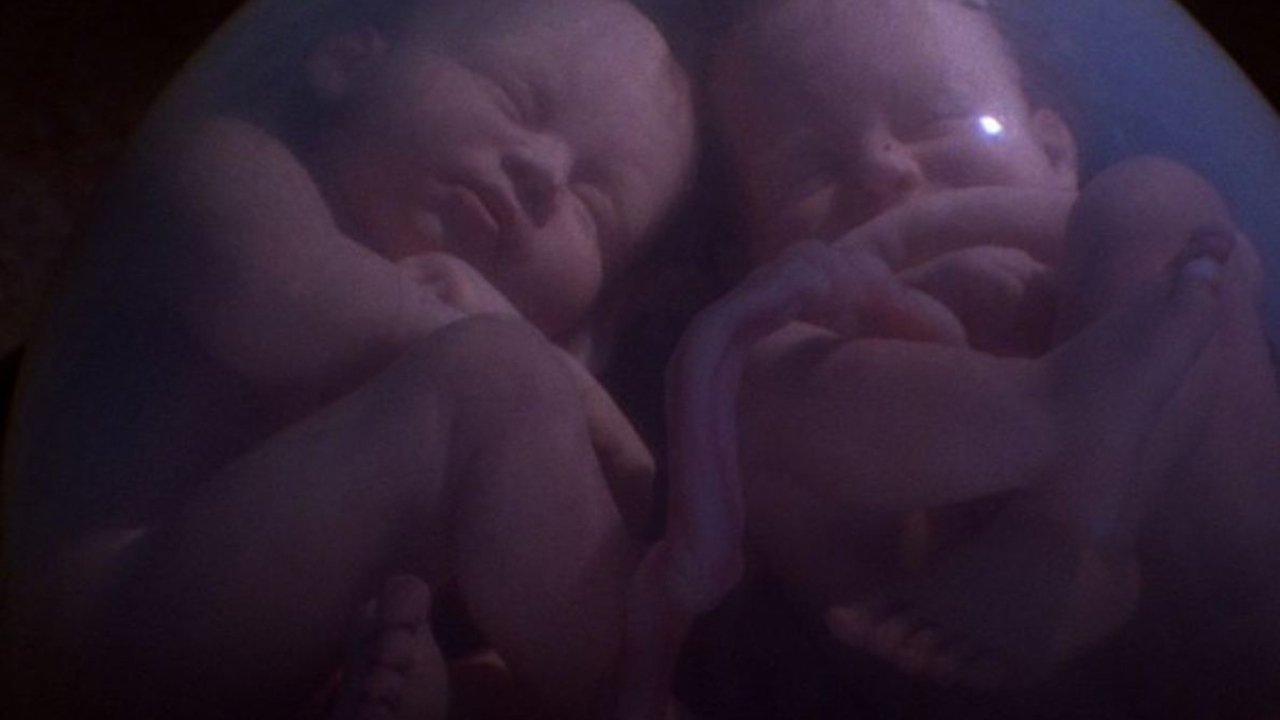 In the Womb: Multiples