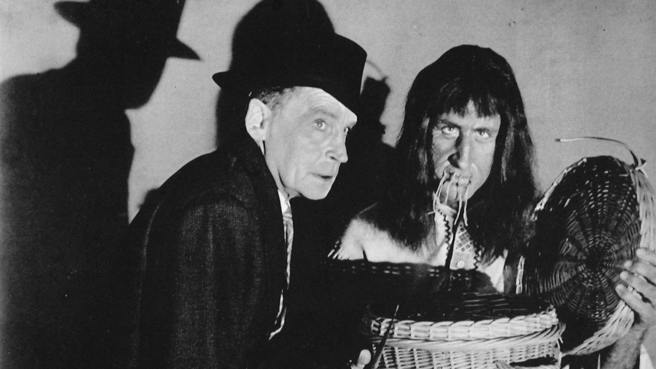 Fondo