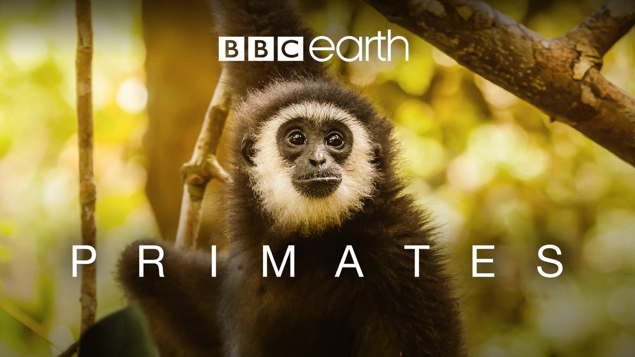 Primates background