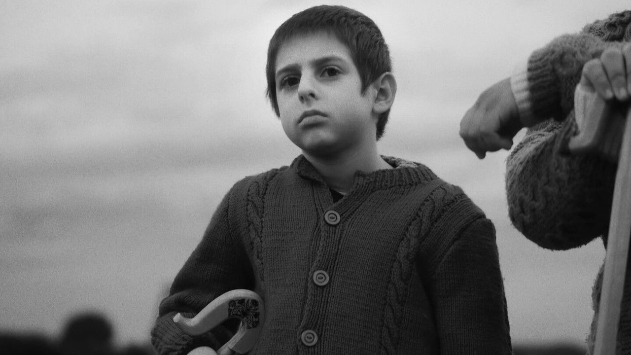 Θυμωμένο Ψάρι