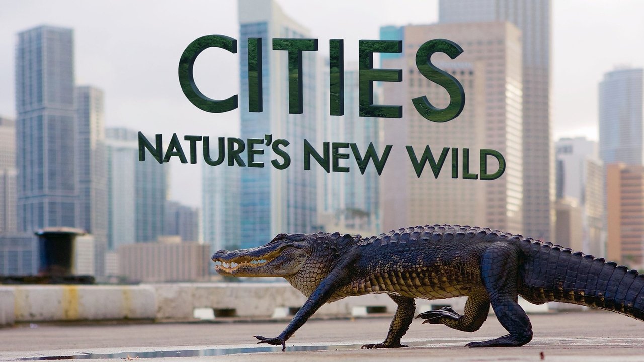 Cities: Nature's New Wild background