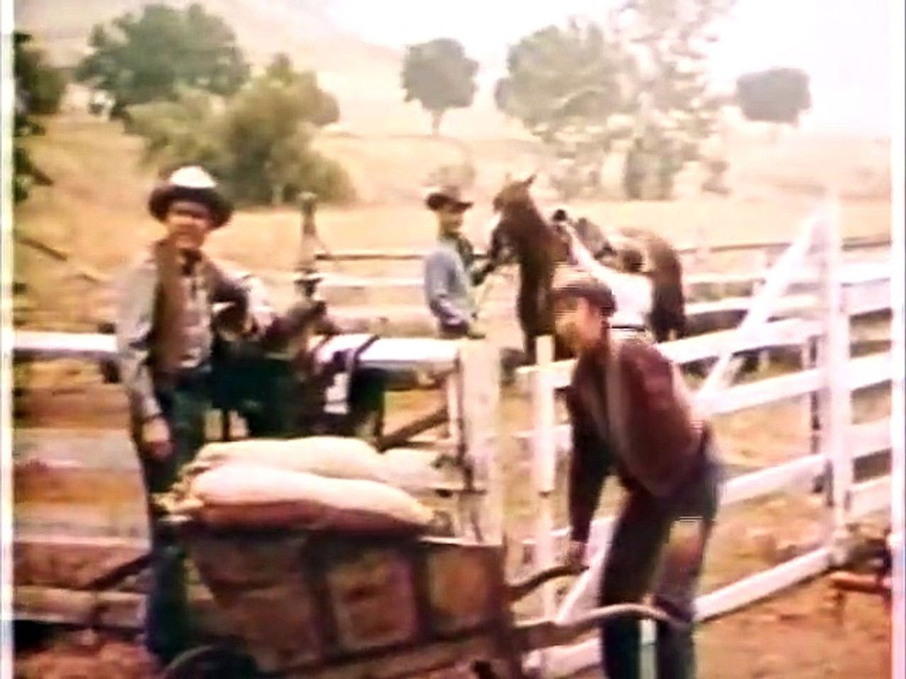 Mon amie Flicka — La Malchance