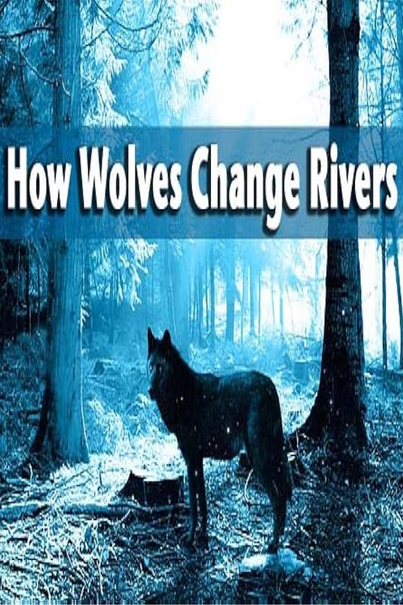How Wolves Change Rivers How Wolves Change Rivers