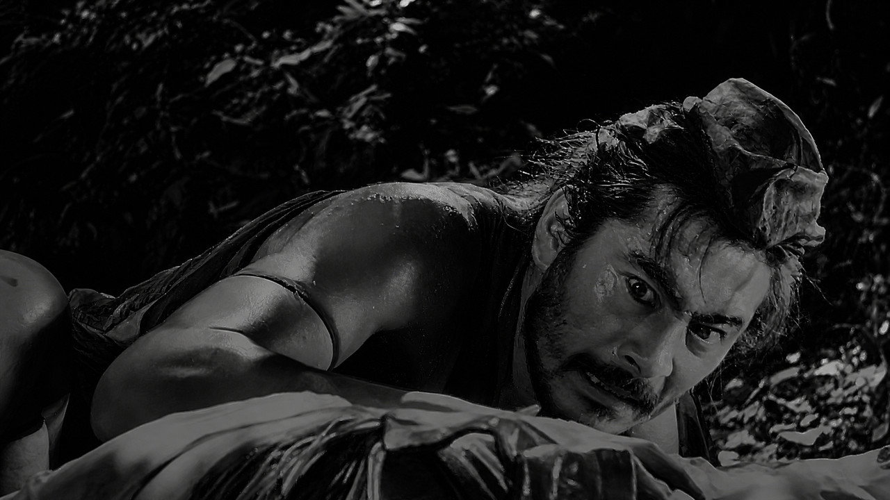 Rashomon still