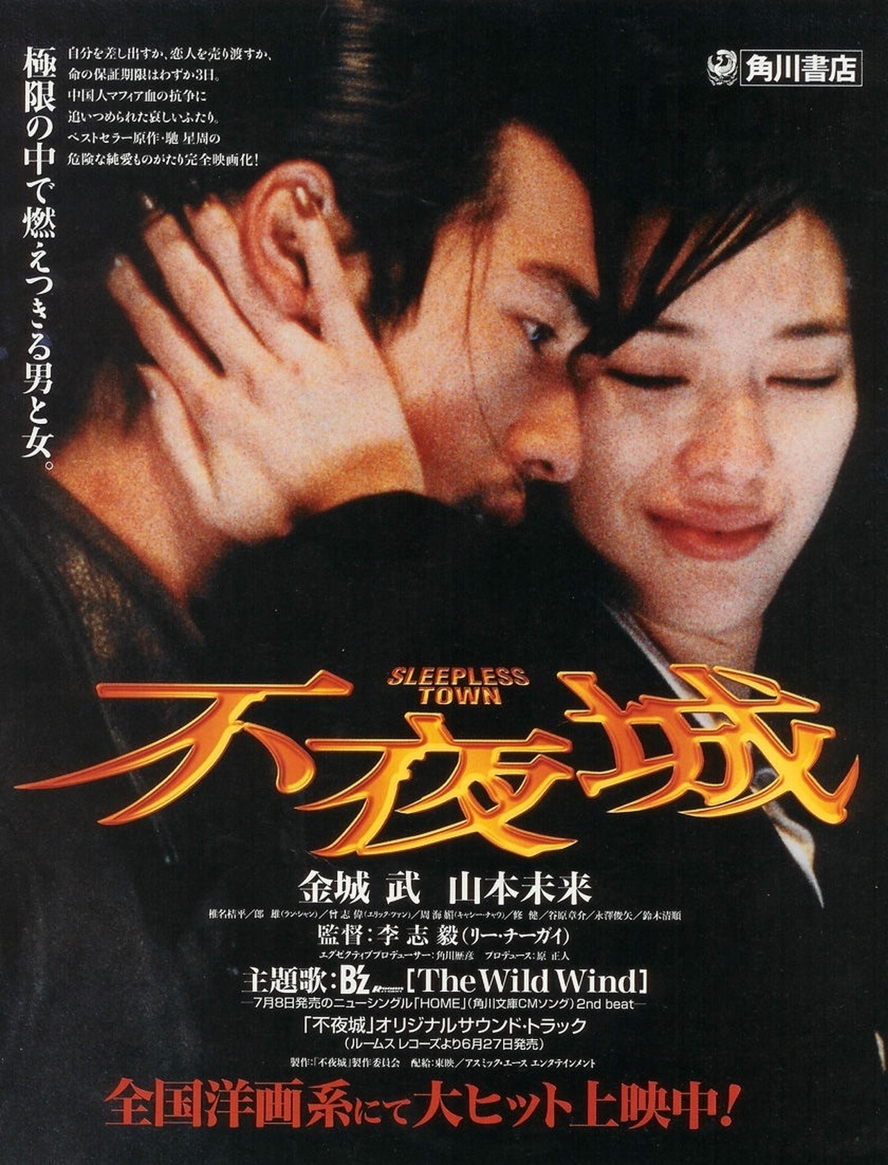 Sleepless Town poster