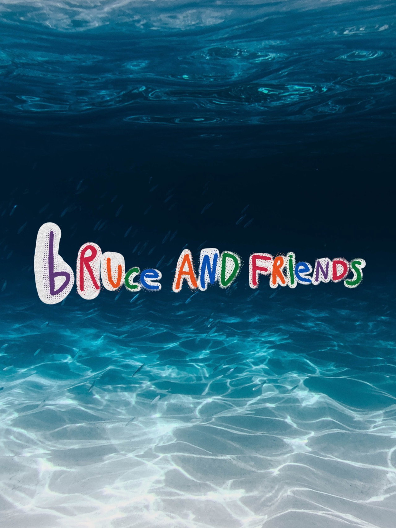 Bruce And Friends poster