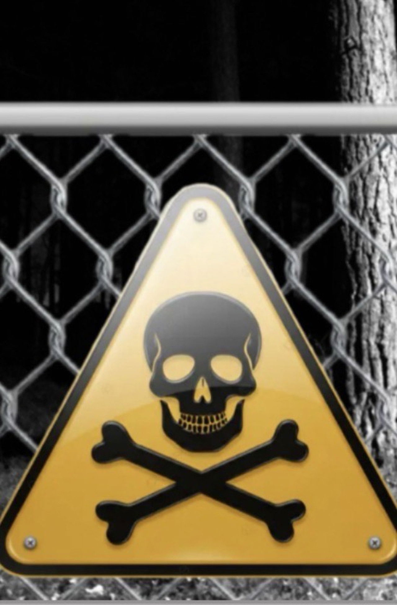 Influencer into the woods Backdrop