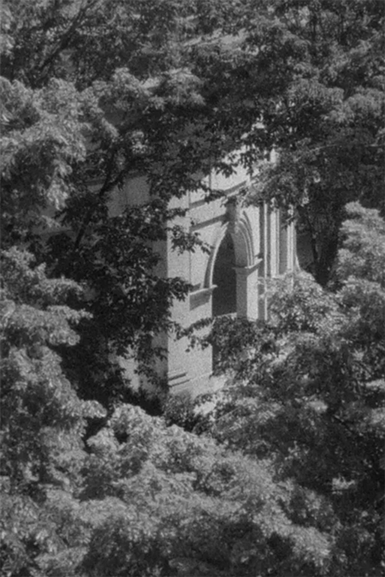 Materia vibrante filmaffisch